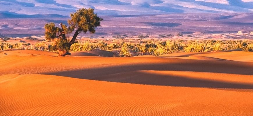 موضوع الصحراء في التجربة الفوتوغرافيّة المغربيّة